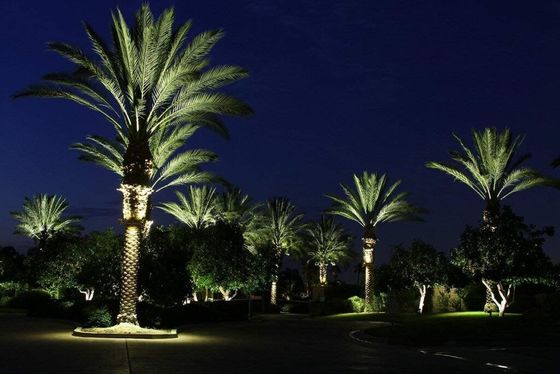 Energy Saving Customized LED Light 48W-72W LED Palm Tree Outdoor